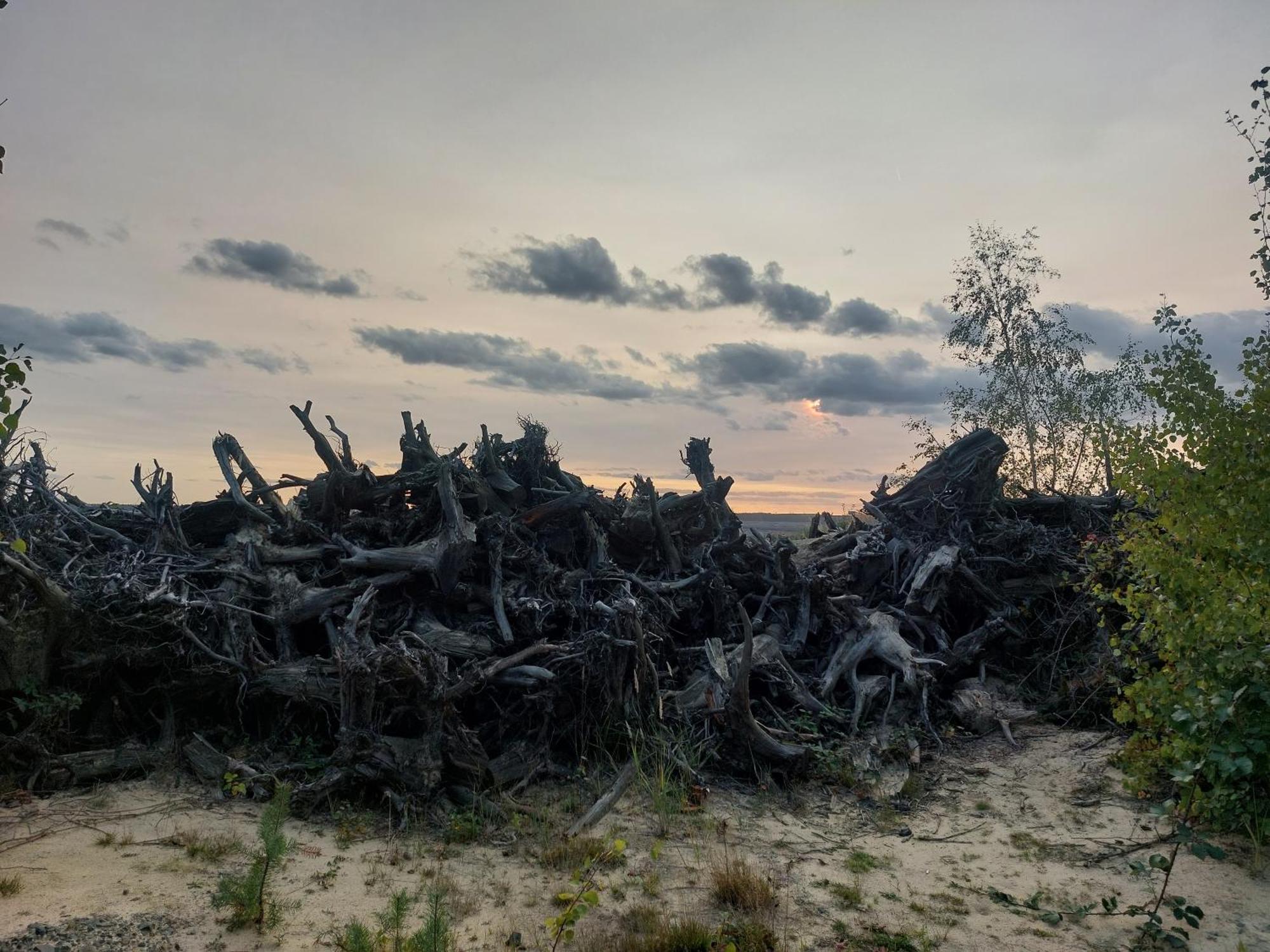 Ferienwohnung Gnubbel Am Wald Weisswasser Buitenkant foto
